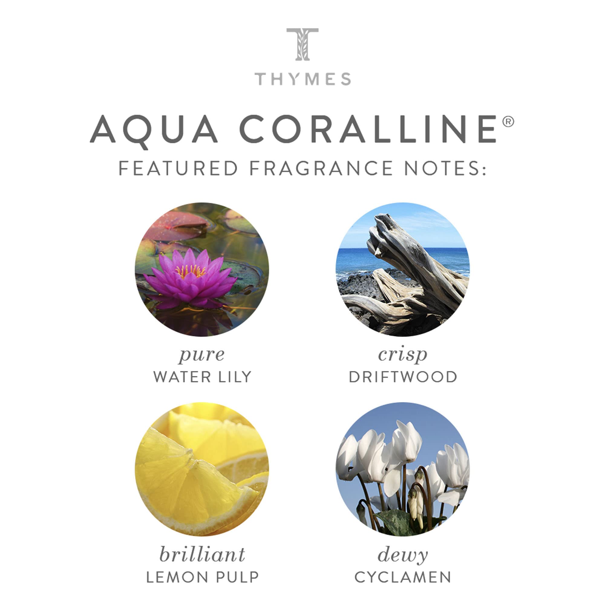 Thymes Aqua Coralline scent bubbles capture a sea-inspired fragrance