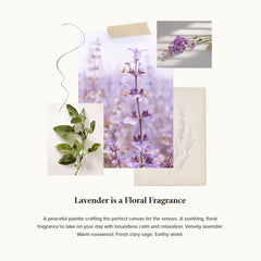 Thymes Bubble Bath Lavender foam in bath creating relaxing spa-like moment