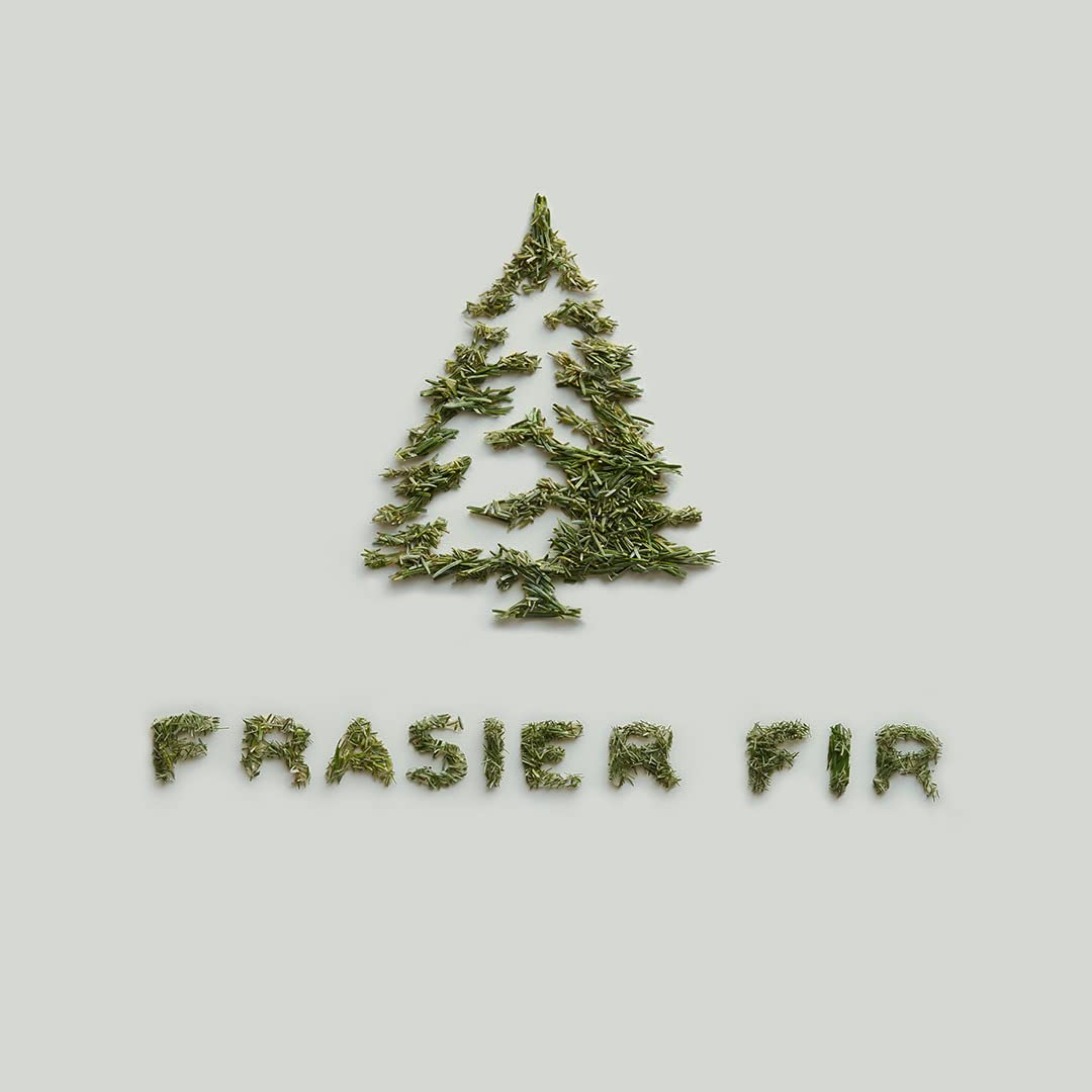 Thymes Frasier Fir hand lotion packaging highlights artisan design and eco-friendly ethos.