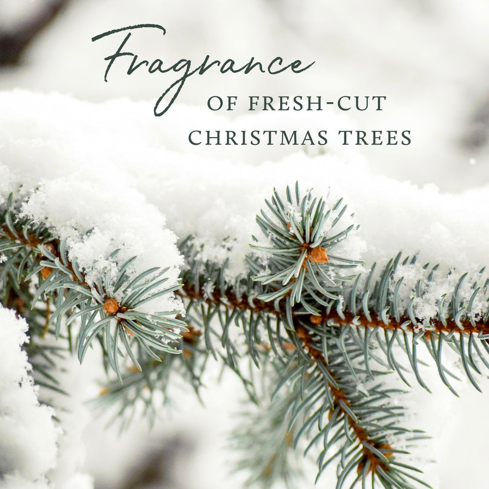 Thymes Frasier Fir hand lotion shea-butter rich formula for deep moisture.