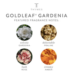 Thymes Goldleaf Gardenia shea butter ingredient graphic highlights rich moisturizing components.