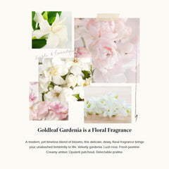 Thymes Hand Lotion Gold Pump dispensing for easy, mess-free application on the go.