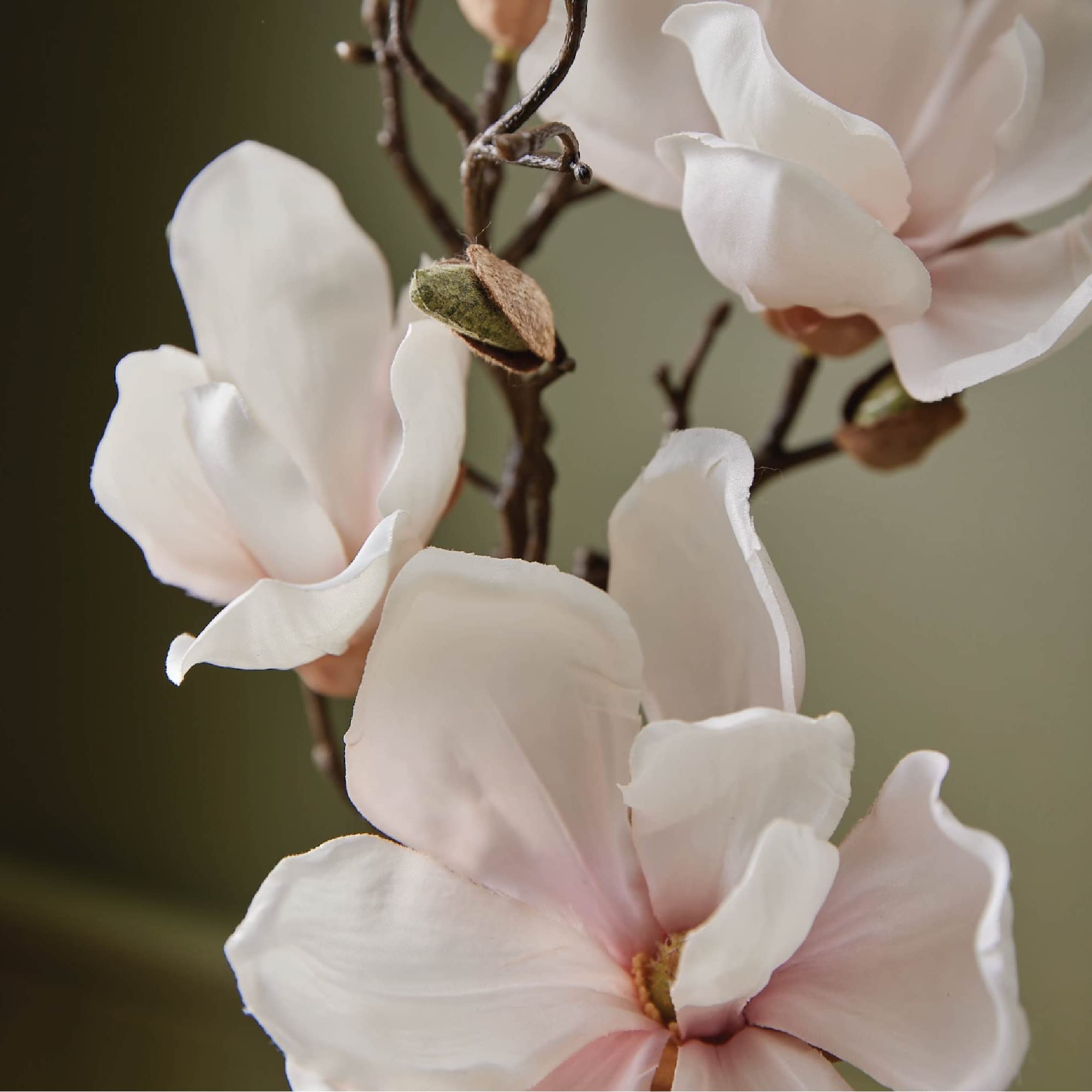 Thymes hand lotion pump action demonstrates easy, mess-free application for busy mornings.