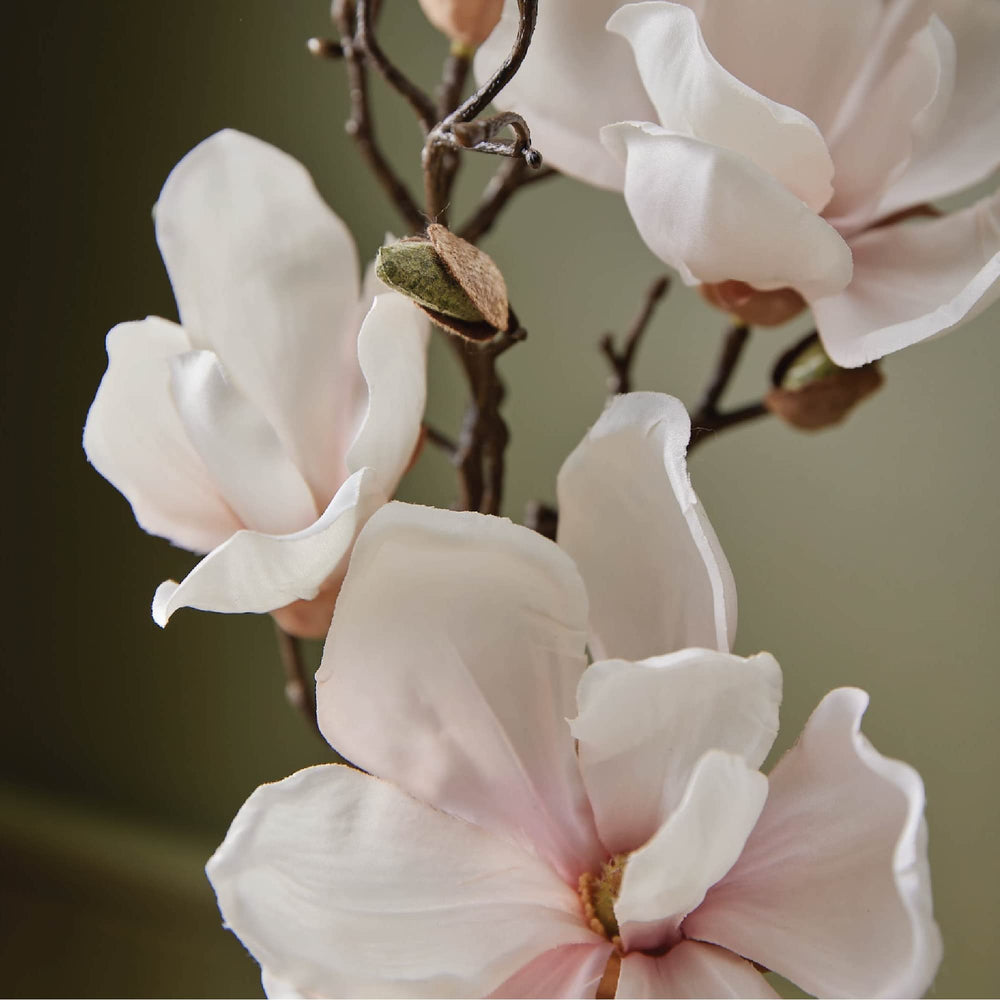 Thymes hand lotion pump action demonstrates easy, mess-free application for busy mornings.
