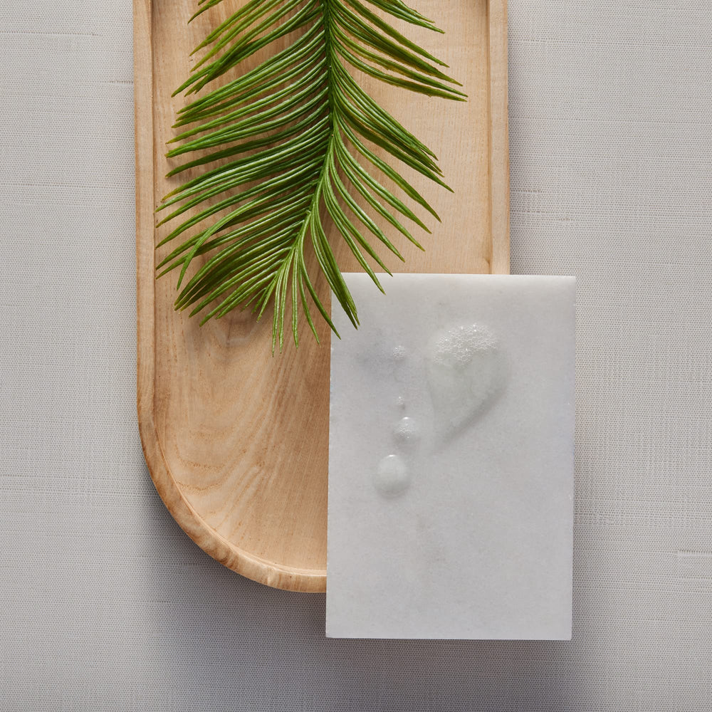 Thymes Hand Wash Mandarin Coriander citrus notes captured in imagery.