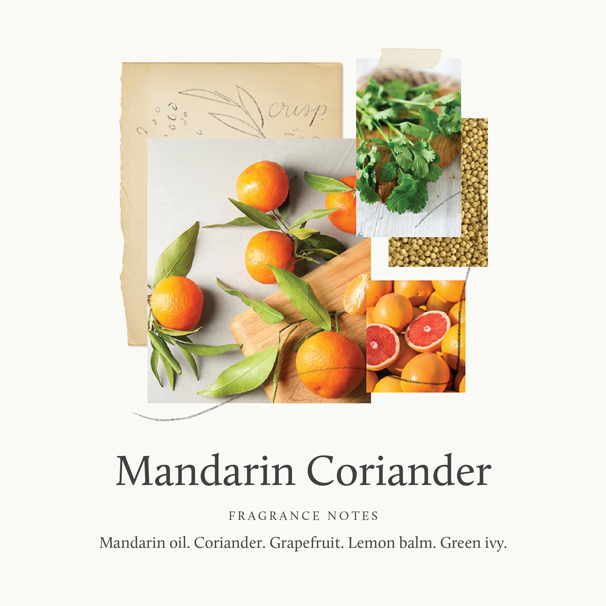 Thymes Hand Wash Mandarin Coriander foam application on hands during routine.