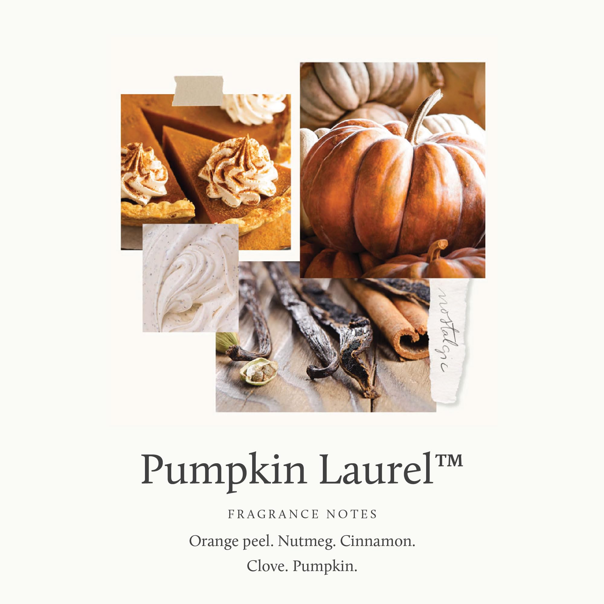 Thymes nutmeg, cinnamon, and clove notes with pumpkin laurel aroma.