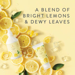 Thymes Lemon Leaf fragrance close-up highlights dewy leaves and citrus zest.