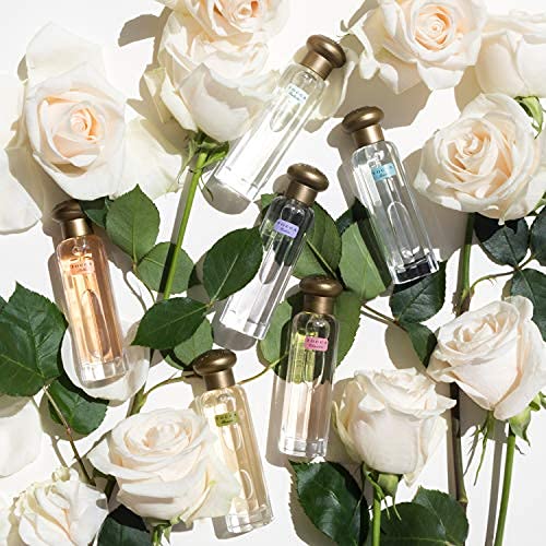 Tocca Stella pairing with dry body oil and hand cream for layering.