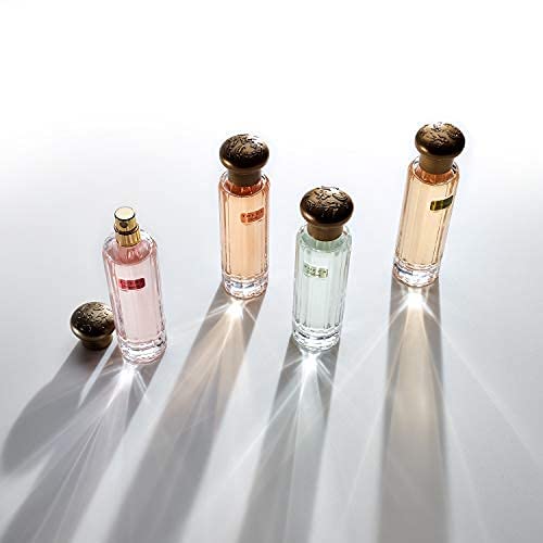 Tocca Stella soft floral moment for daily wear.