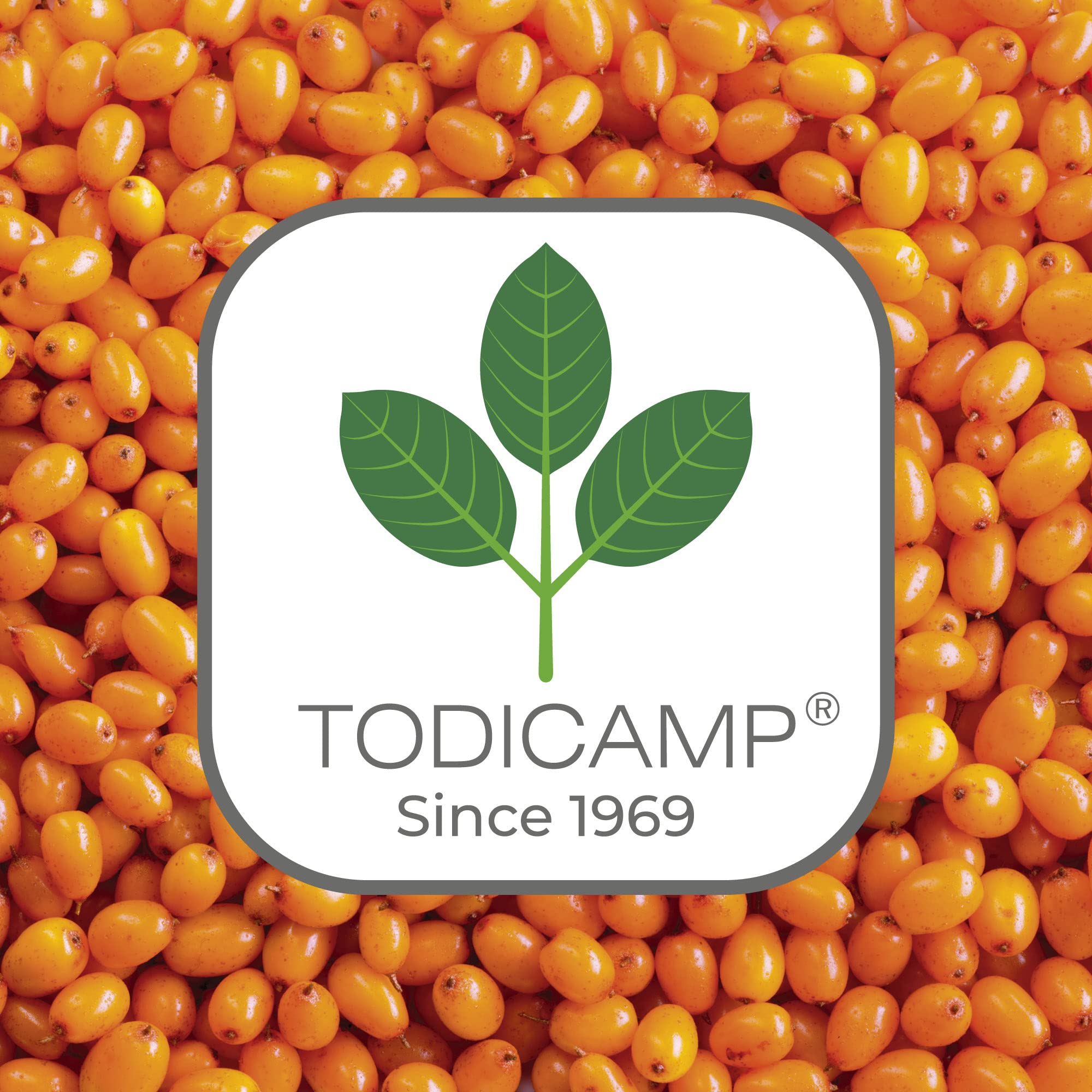 TODICAMP Sea Buckthorn Oil ingredients — includes organic, cold-pressed berries for purity.