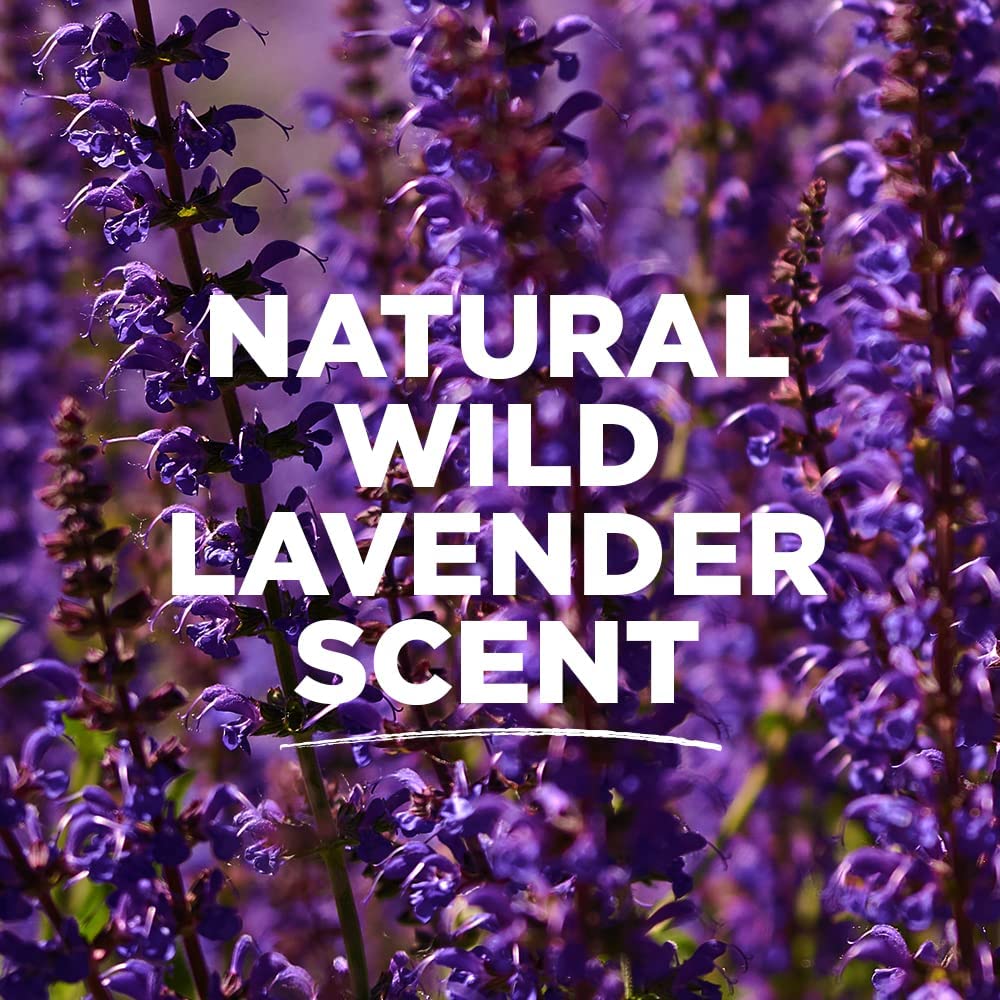 Tom's of Maine lavender deodorant twist-up for easy application
