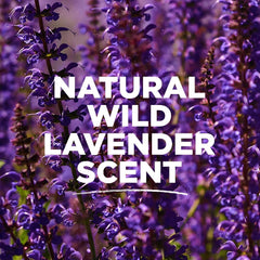 Tom's of Maine lavender deodorant twist-up for easy application