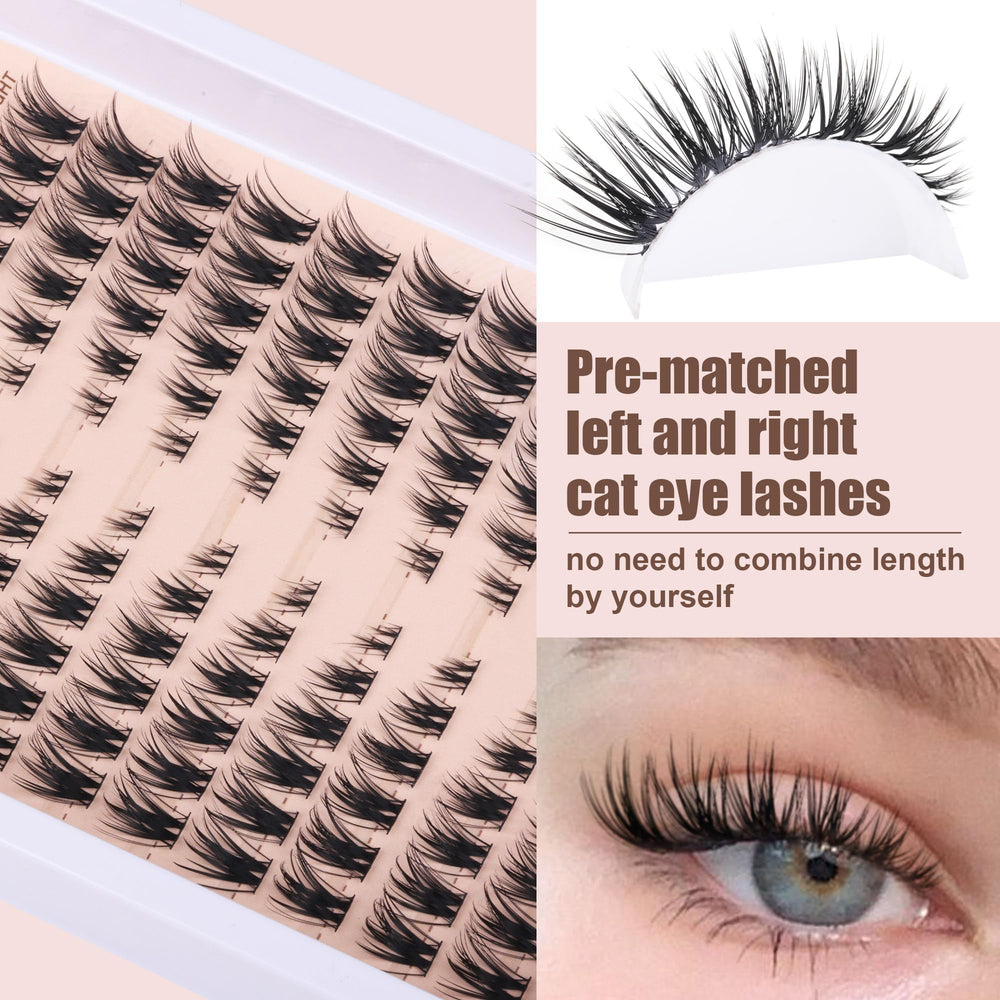 TOOCHUNAG CD curl lashes delivering balanced inner softness and outer lift