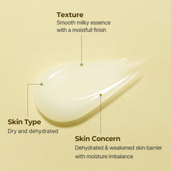 Torriden SOLID IN Ceramide Essence 5D Ceramide illustration emphasizes barrier support.