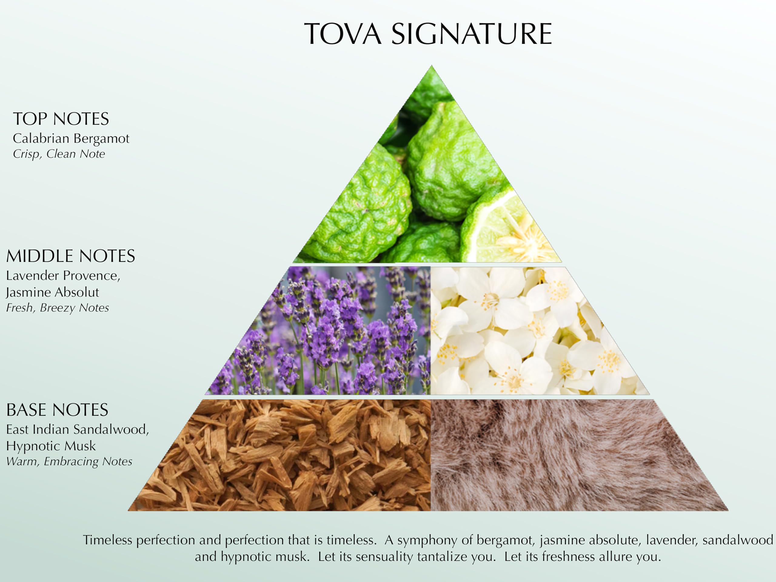 Tova Signature label notes highlighting bergamot jasmine and lavender profile