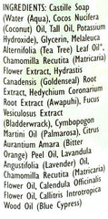 Trader Joe's Spa Face Wash 2-pack packaging highlighting value and convenience