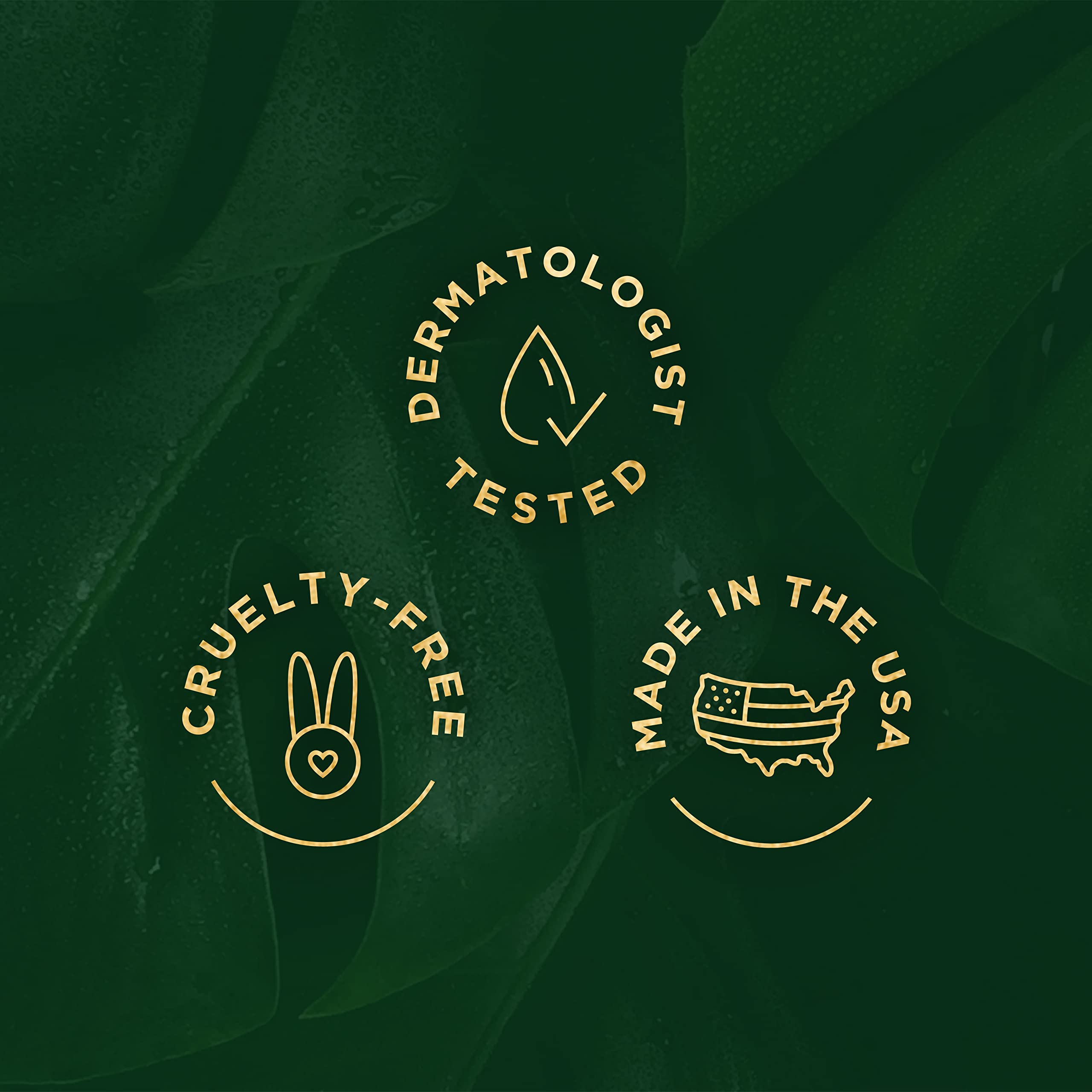 Tree of Life Beauty Moisturizer application routine demonstrating smooth daytime use.