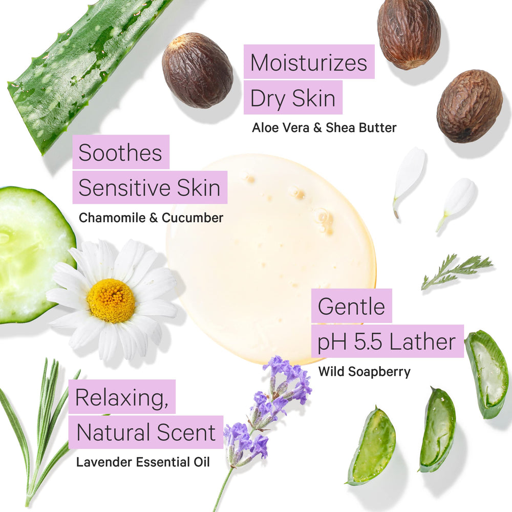 Tree to Tub Lavender Body Wash aloe-vera-gel soothes and refreshes during daily showers.