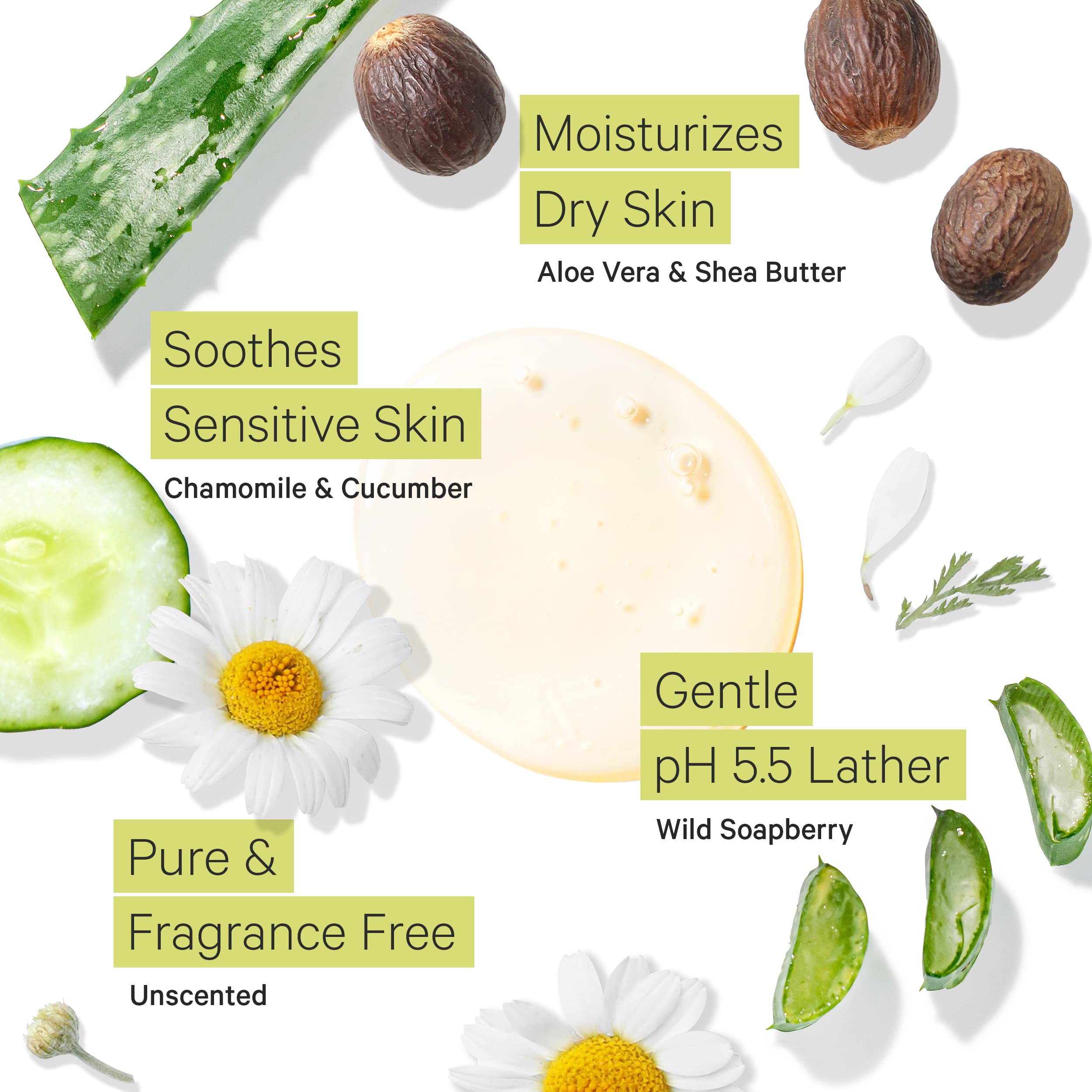 Tree to Tub moisturizing shea butter feature suggests lasting softness and comfort.