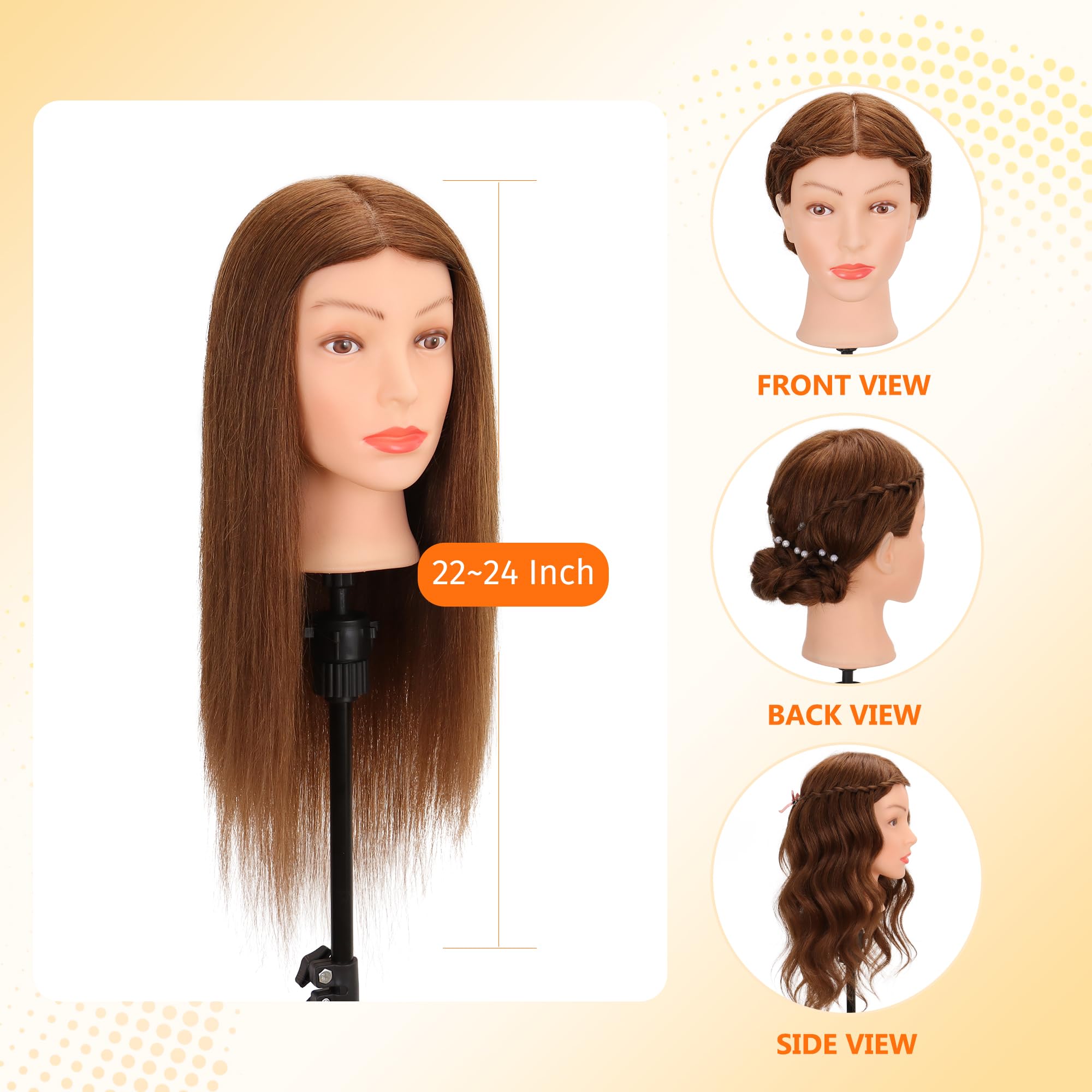 Treosida mannequin head table clamp included for stable on-desk training.