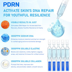 Six hyaluronic acid derivatives form a multi-layer moisture network on skin