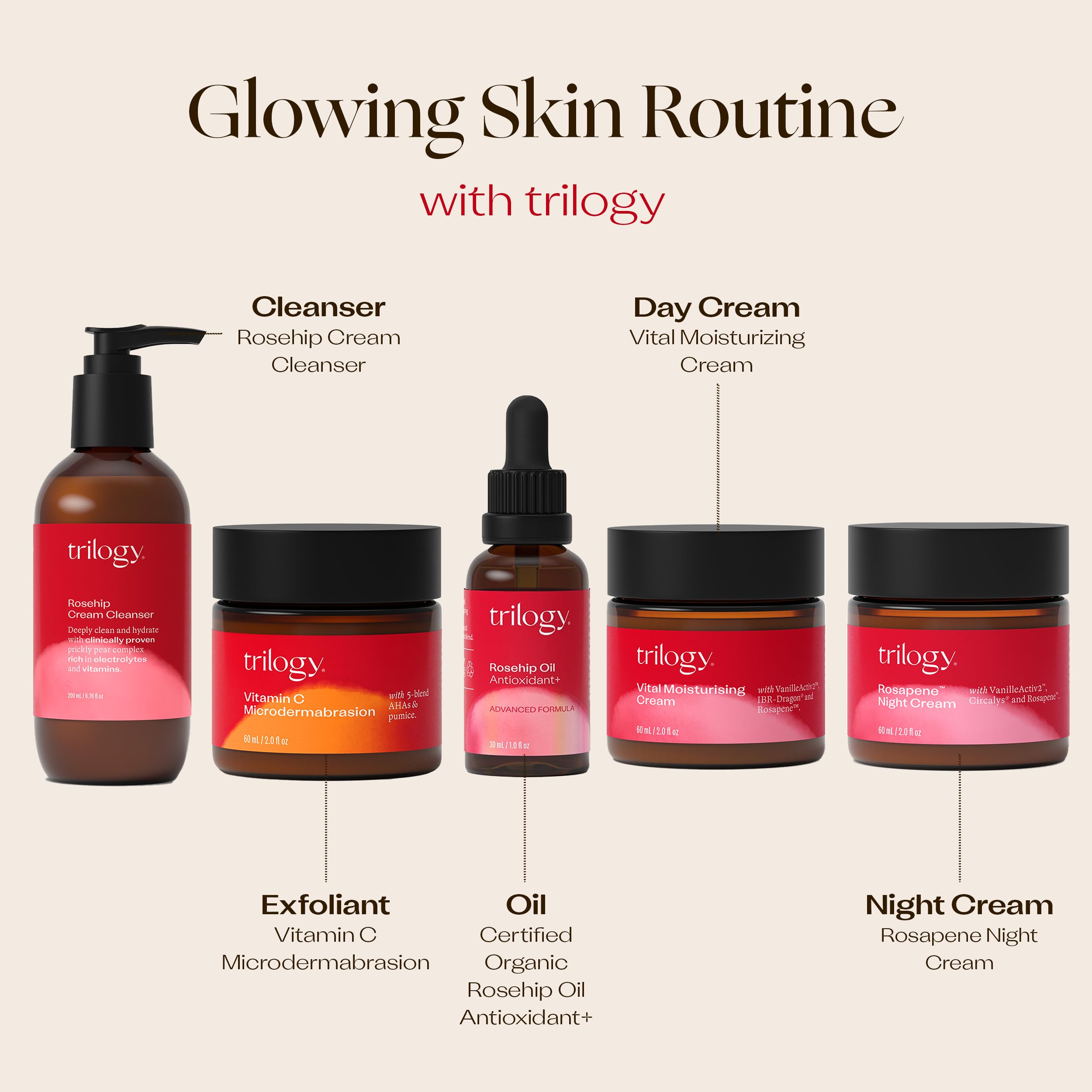 Trilogy Daily Application demonstrates 2-3 drops on face, neck, and chest