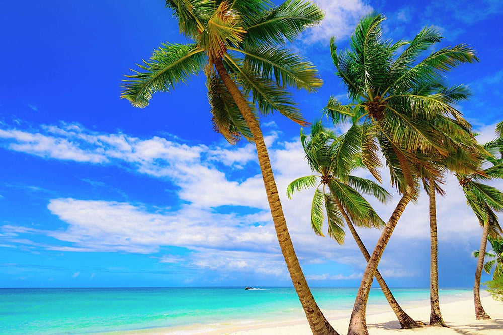 US Organic Fractionated Coconut Oil skin care emphasizes gentle hydration for sensitive skin.