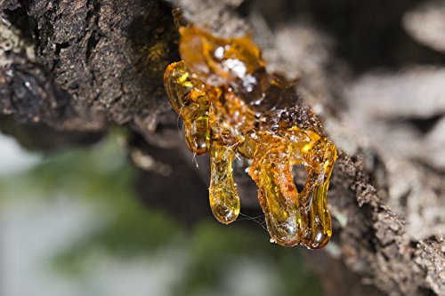 US Organic frankincense oil amber bottle relaxation setup to inspire calm