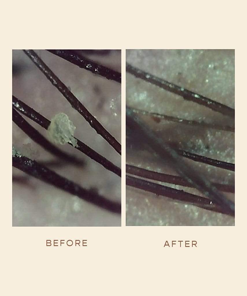 Ingredients focus: willowherb, baobab, marula in GRO formula for moisture.