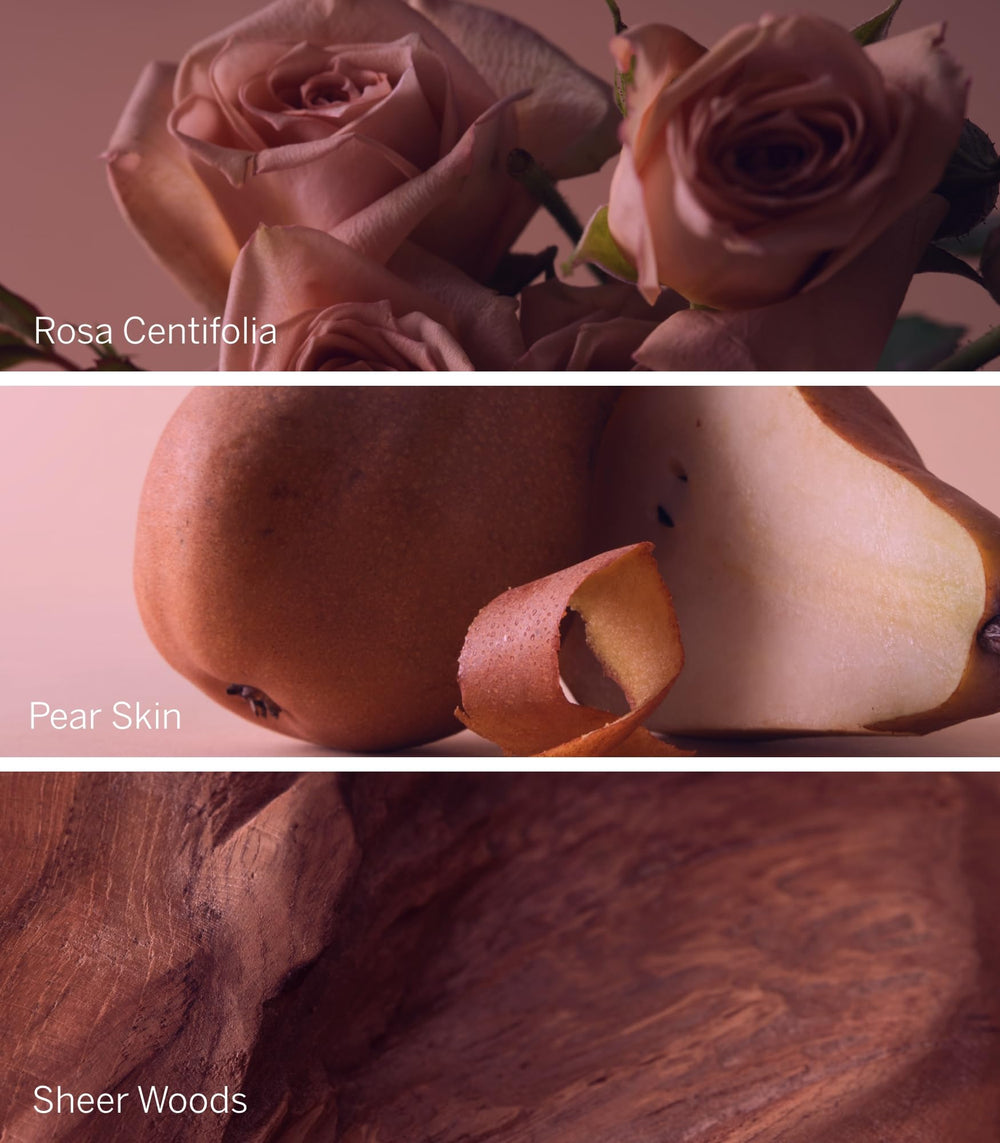 Bare Rose lotion showcases Rosa Centifolia note and sheer woods for a refined fragrance