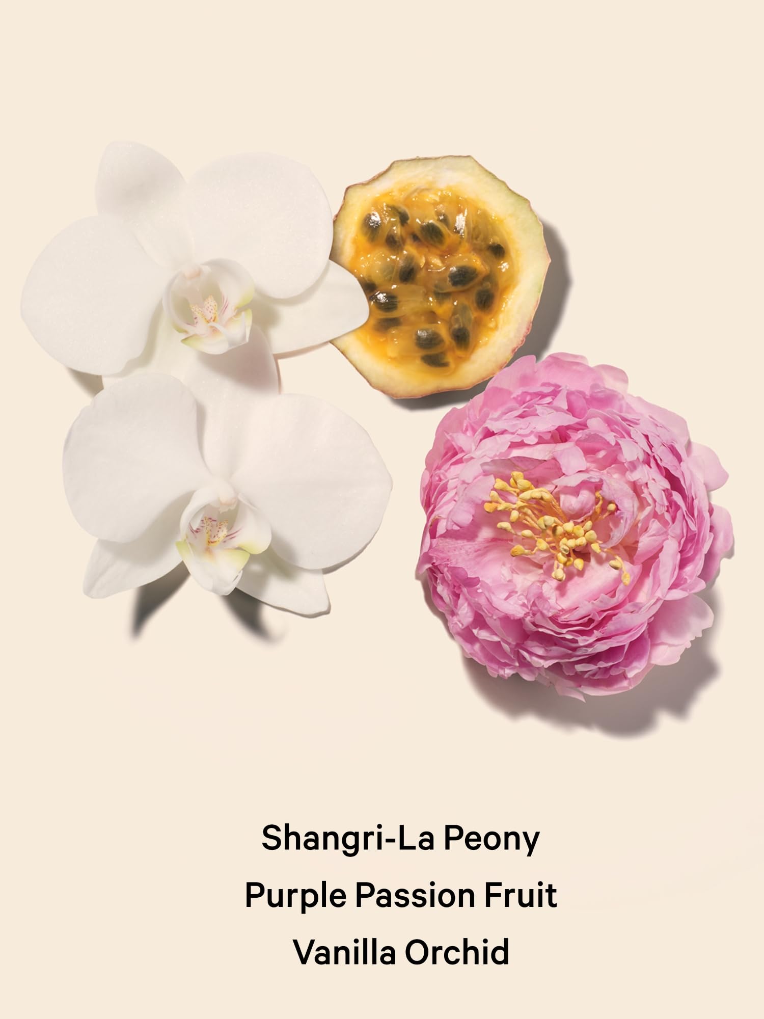 Madagascar vanilla orchid in Bombshell EDP adds creamy sweetness and warmth.