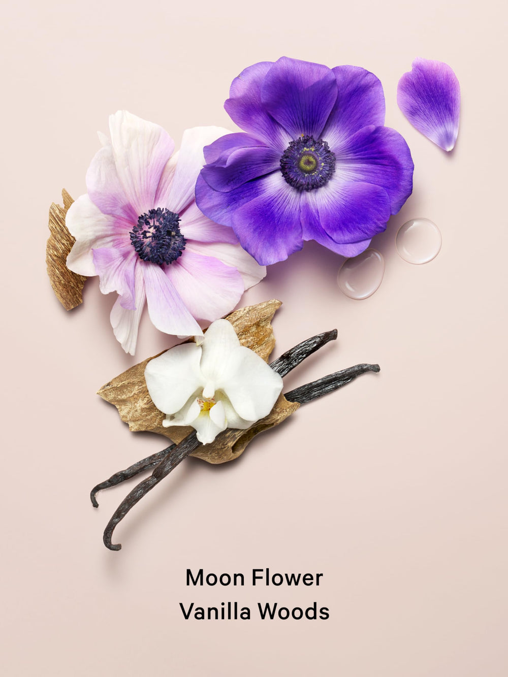 Victoria's Secret Midnight Bloom lotion cap enables easy, mess-free application and fast absorption.