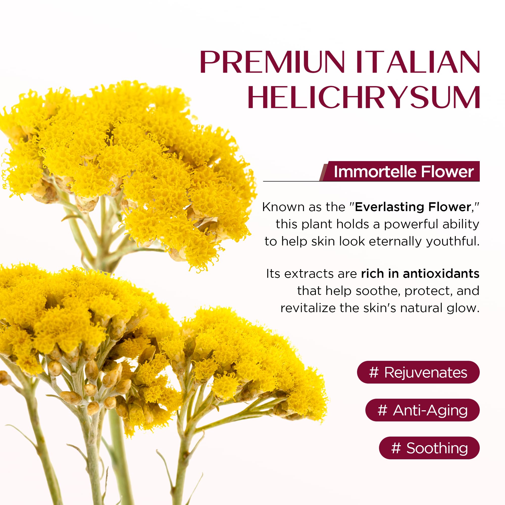 Vigority Helichrysum Balm arnica calendula blend supports calm and minor irritation recovery.