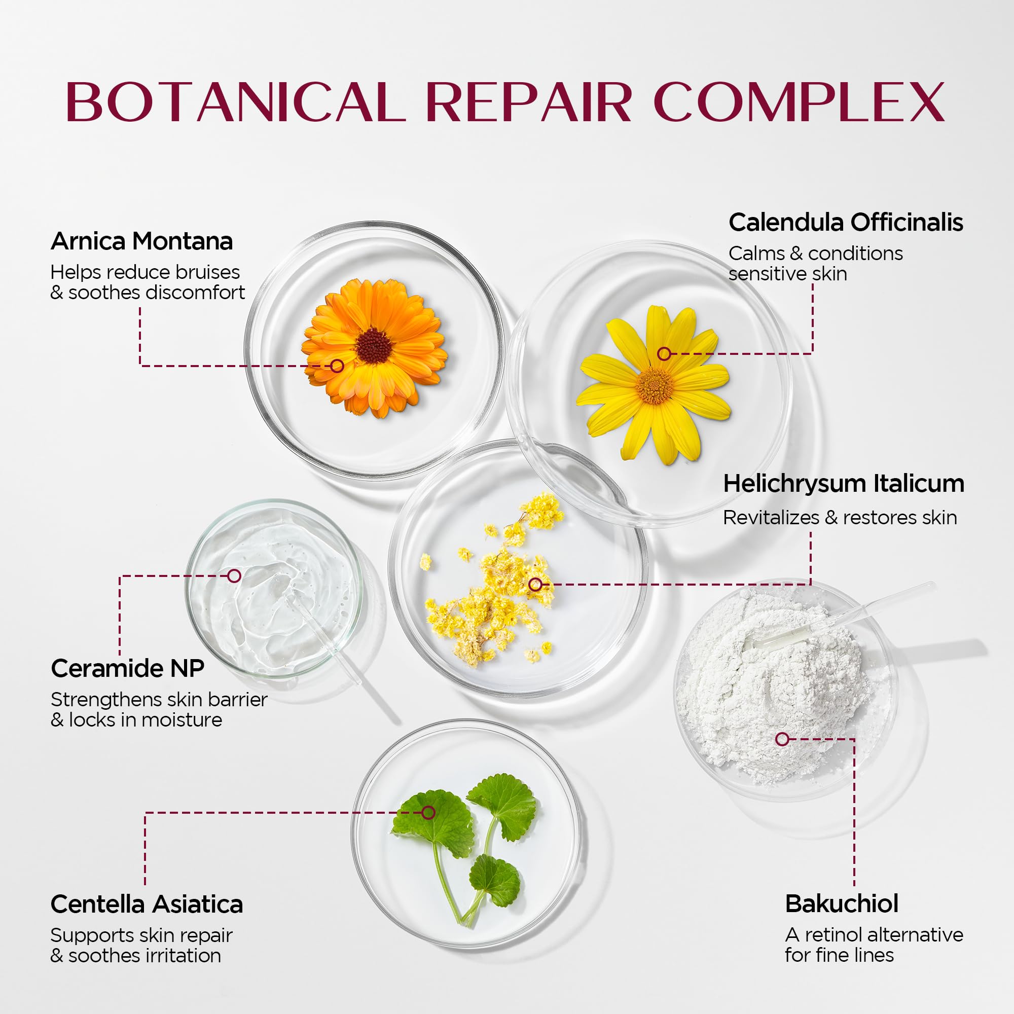 Vigority Helichrysum Italicum plant extract emphasizes natural recovery for aging skin.