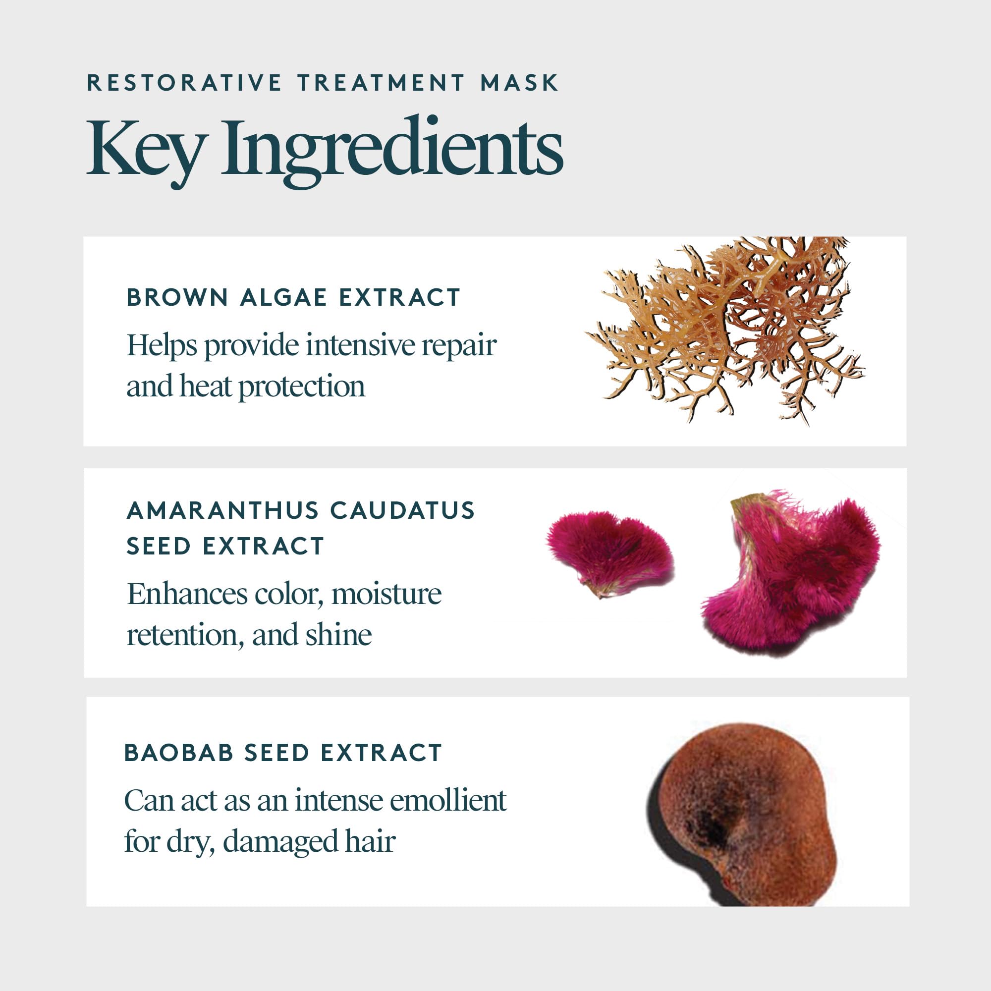 VIRTUE Restorative Hair Mask fragrance-coconut-yuzu invokes a comforting spa-like ritual