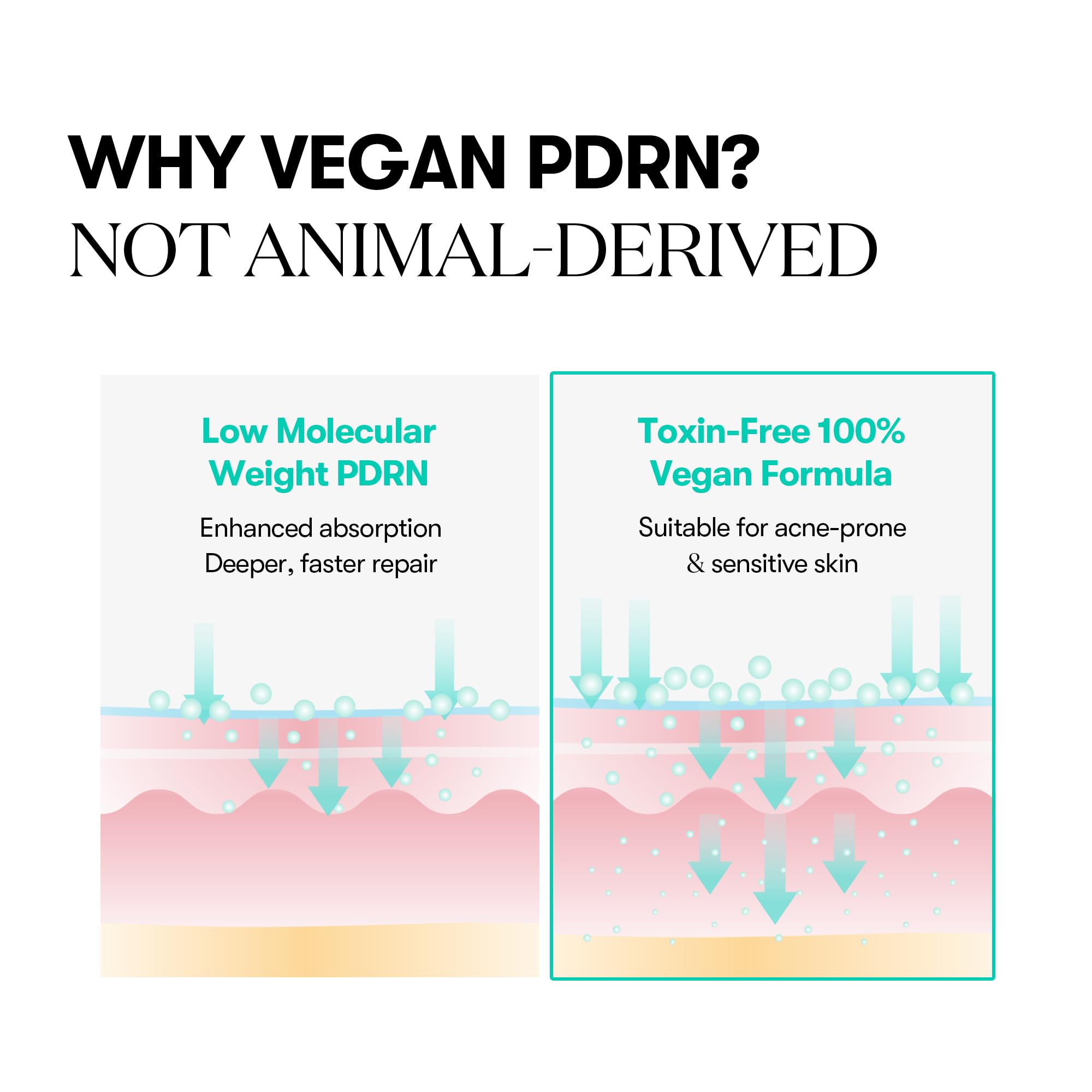5-ceramide complex strengthens skin barrier in VT COSMETICS PDRN Capsule Cream.