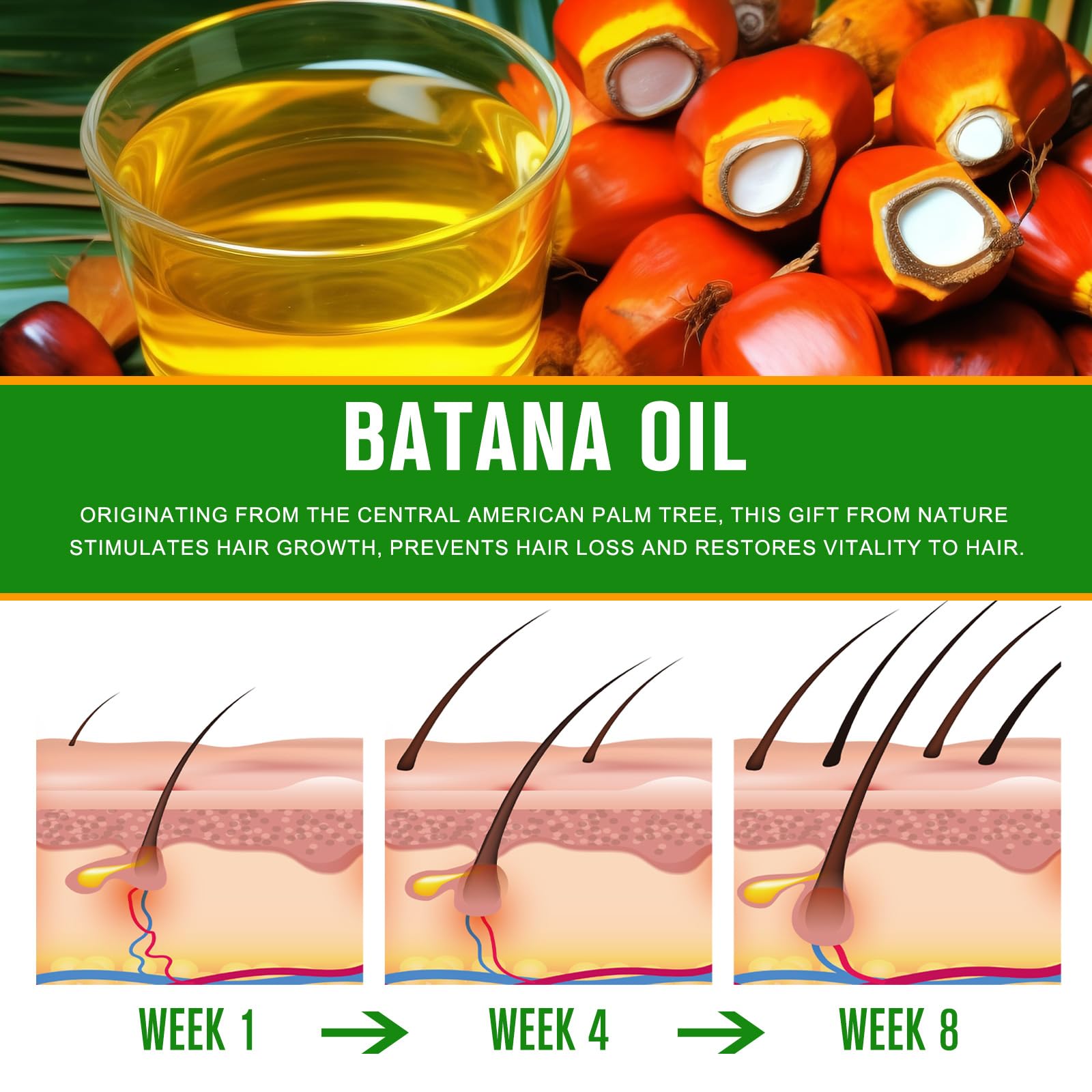 Brush applying VXHDAG Batana oil to brows and lashes to condition hairs