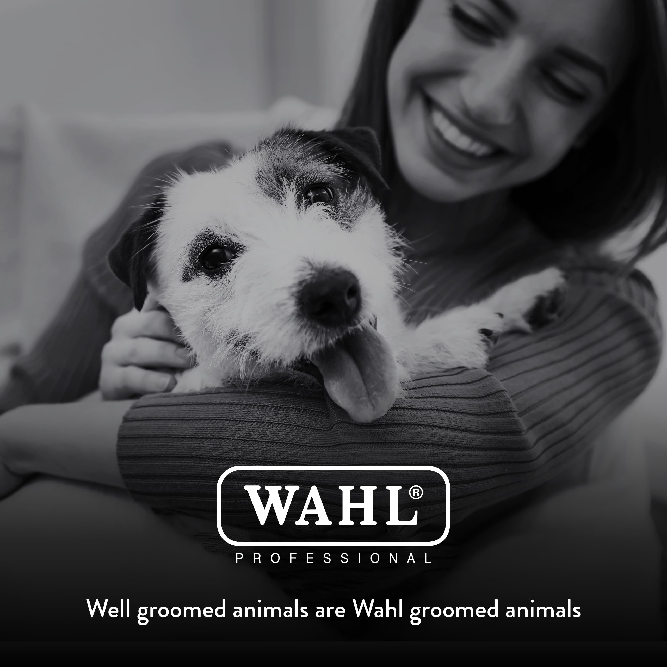 Wahl Arco cleaning oil and brush aid maintenance.