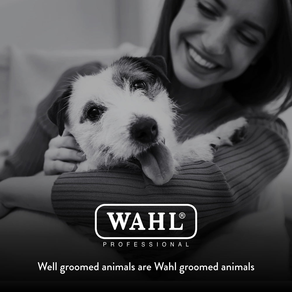 Wahl Arco cleaning oil and brush aid maintenance.