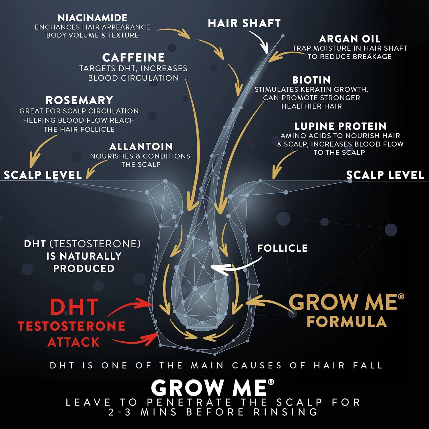 Watermans Grow Me biotin and caffeine support stronger, revived hair strands