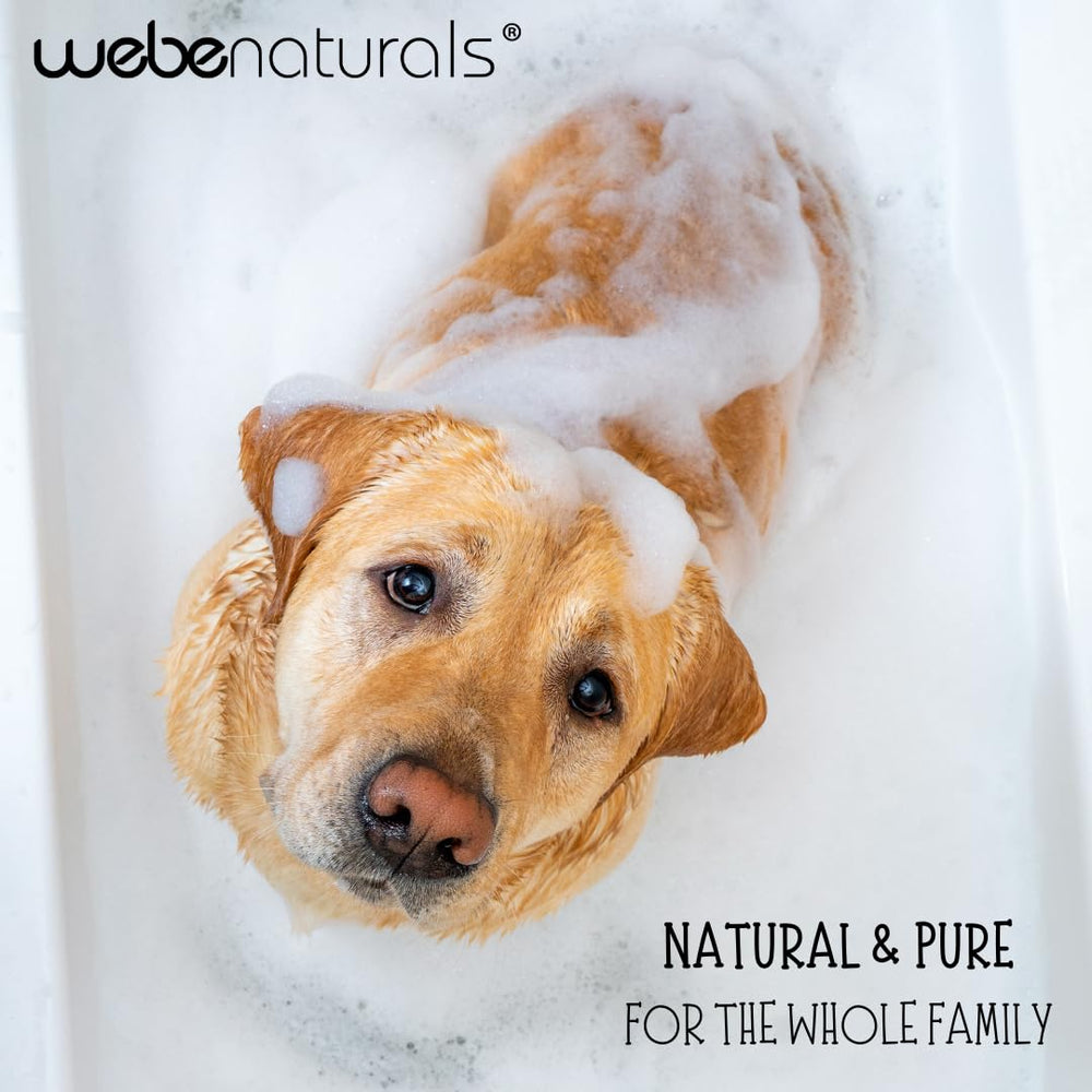 WEBE dishwashing use showing versatile cleaning with sudsy bubbles