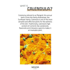Weleda Calendula Body Cream highlights calendula and sesame ingredients