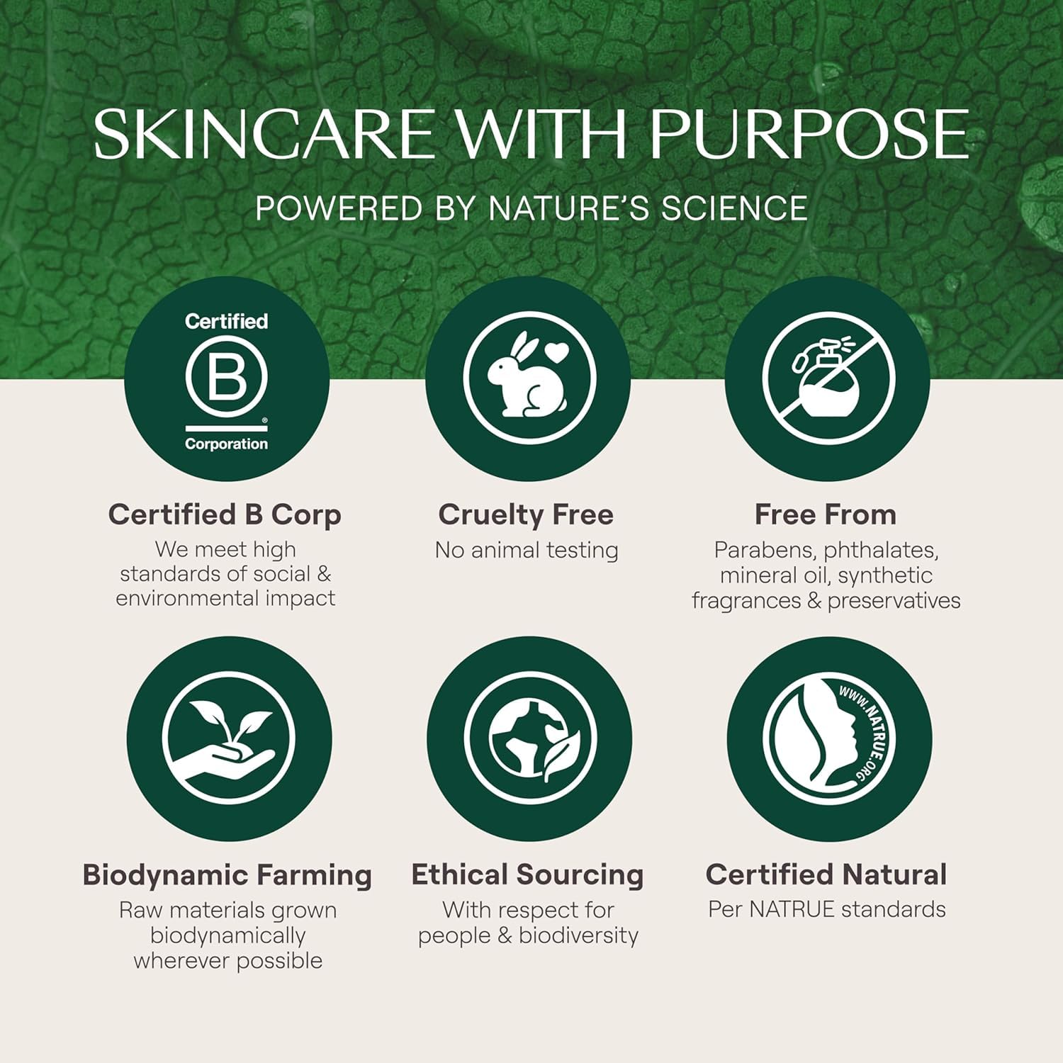 Weleda Calendula flower reflects gentle botanical care for sensitive skin