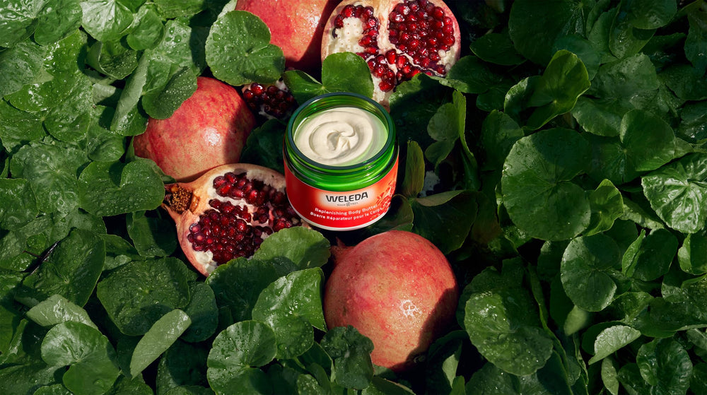 Weleda cica plant extracts emphasize soothing skin support and daily care benefits.