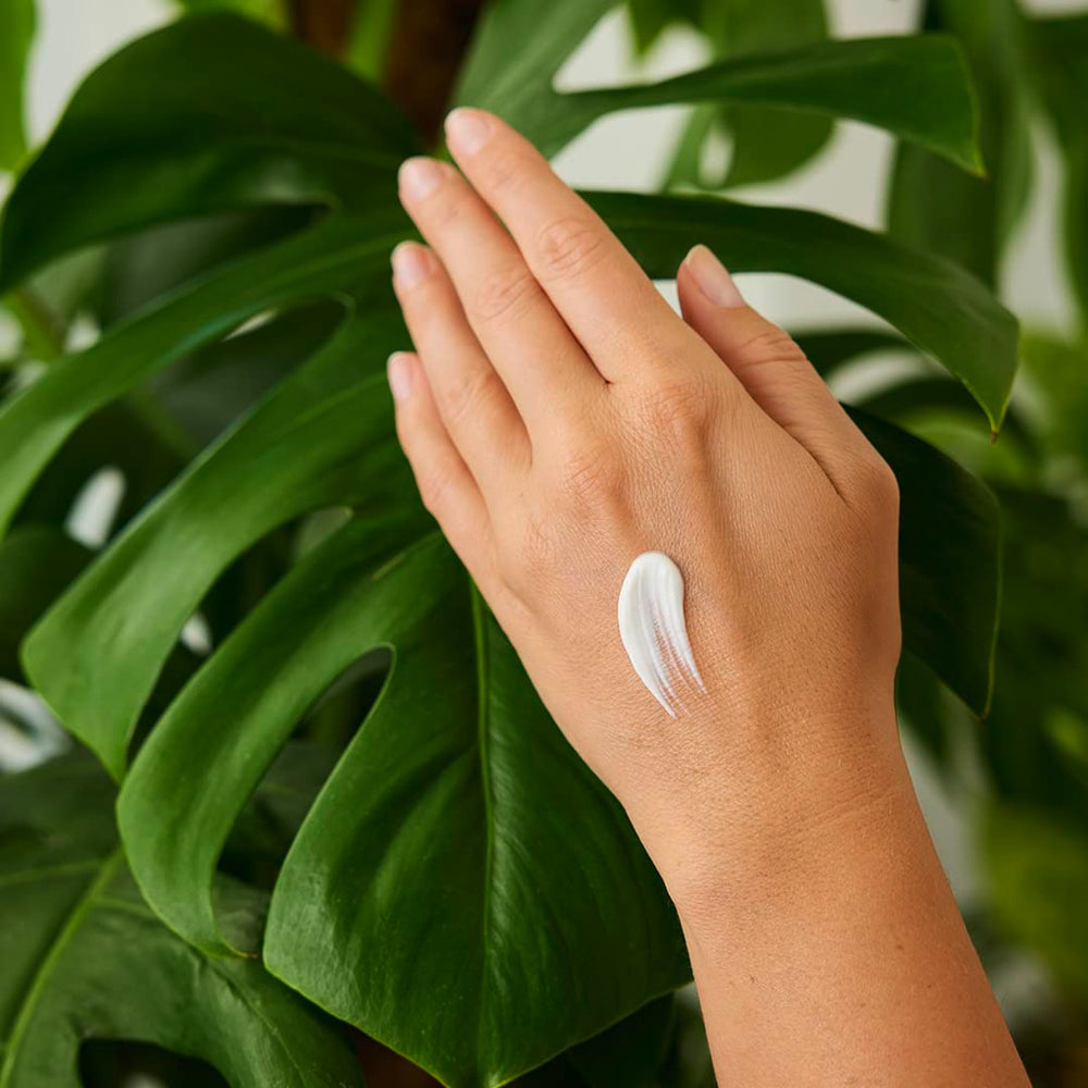 Weleda dermatological-tested label signals safety and gentle ingredients.