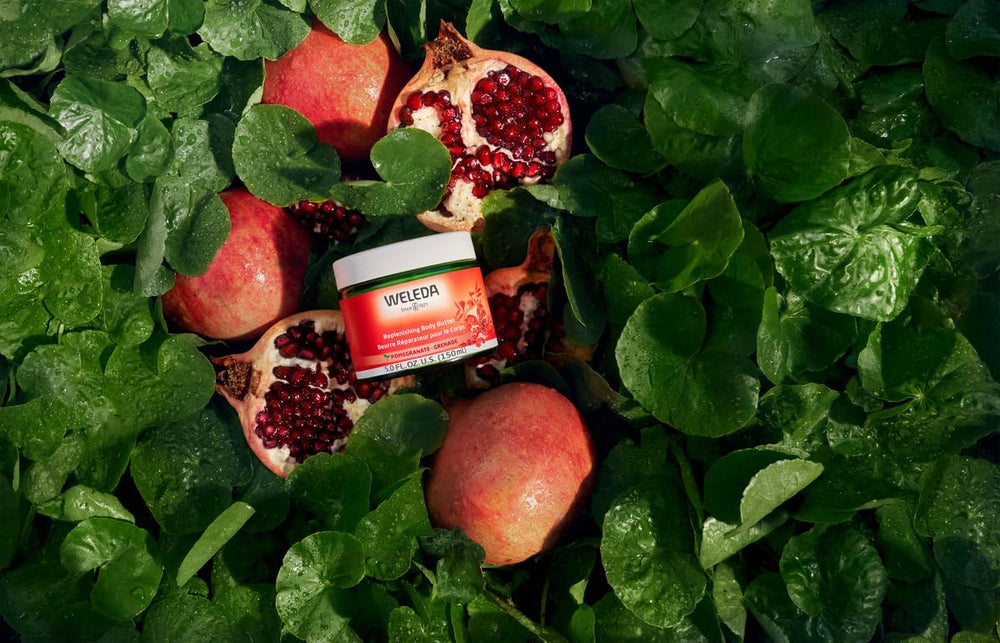 Weleda pomegranate seed oil highlights antioxidant-rich nourishment for the skin glow.