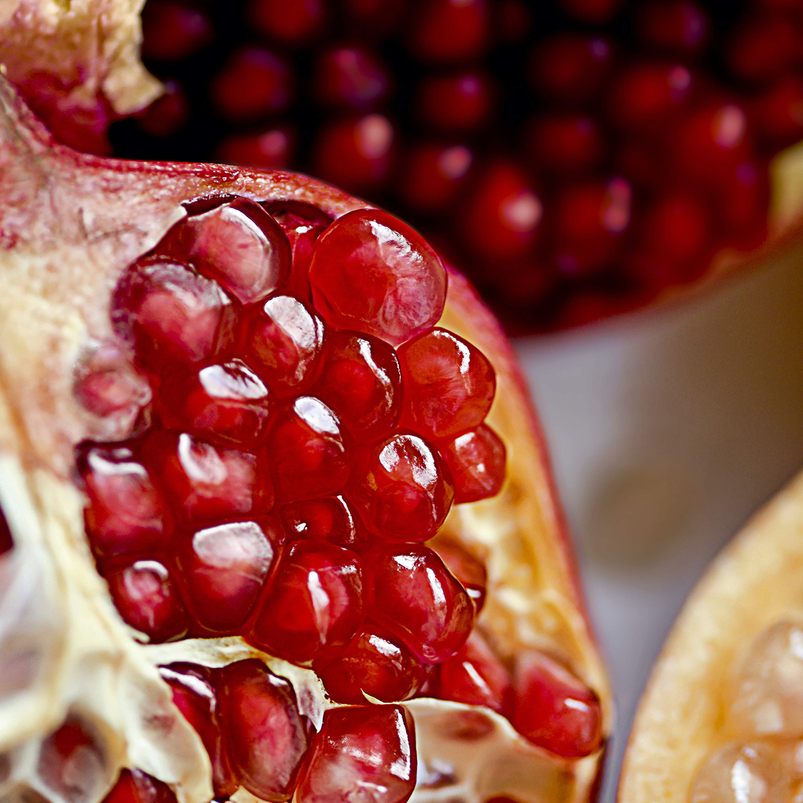 Weleda Regenerating Pomegranate Hand Cream packaging compact for on the go