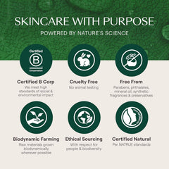 Weleda Skin Food application dab demonstrates quick absorption for daytime use.