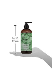 Packaging image for WEN cucumber aloe cleansing conditioner communicates color-treated hair-friendly cleansing.